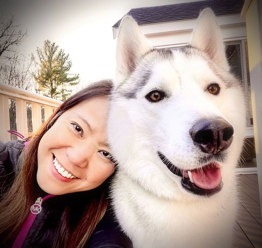 doggy daycare and dog boarding in a loving home in massachusetts